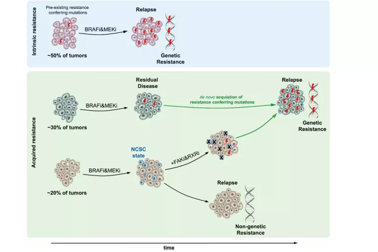 Graphical Abstract